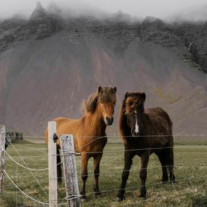 Countryside