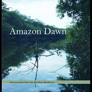 Amazon Dawn 7: Oropendola