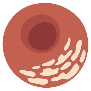 想和你看五月的晚霞-cover陈华