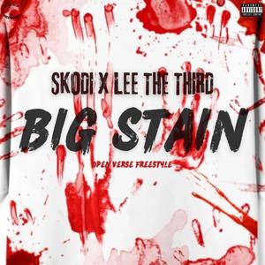 Big Stain Freestyle (feat. Skodi)