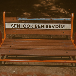 Seni Çok Ben Sevdim