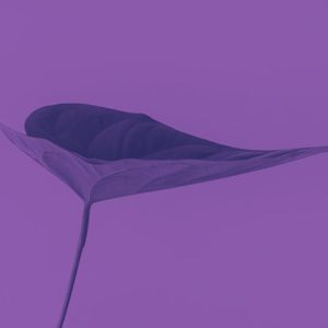 安静的午睡声音