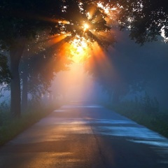 离开你不是我的错