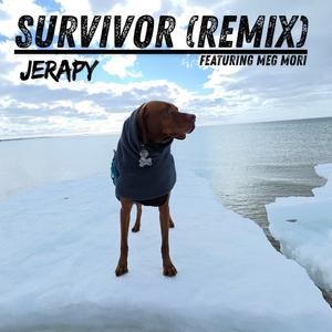 Survivor (feat. Meg Mori) (Remix)