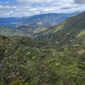 Déjame