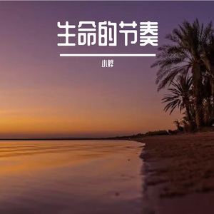 生命的节奏