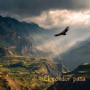 El condor pasa（雄鹰之歌）