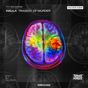Insula (From "Project Brain Mechanism")
