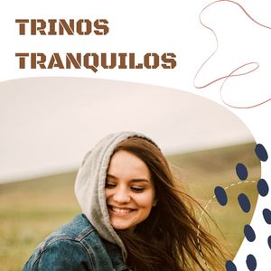 Sosegada sinfonía