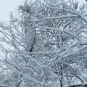 多想在平庸的世界拥抱你-书书