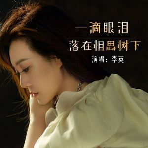 一滴眼泪落在相思树下 (伴奏)