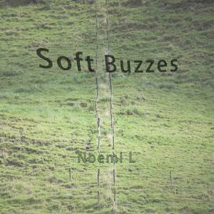 Soft Buzzes