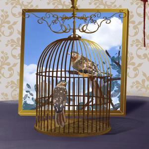 笼中鸟【prod by FRESH_ye】