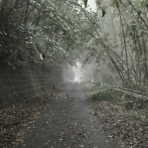 ブラッディマリー