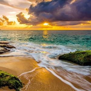 我的心早就随你离去破碎