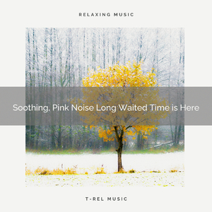 Gain the Peace with Looped Noise