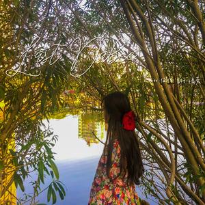 Last Dance（吉他女声）