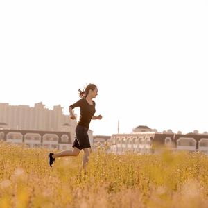 追梦人 李佳（翻自 凤飞飞）