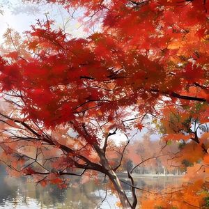 假装我曾路过你的世界