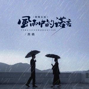 风雨中的诺言 (烟嗓女版)