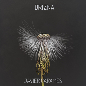 Brizna