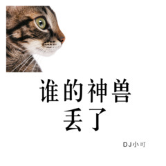 路子很野 (DJ版)