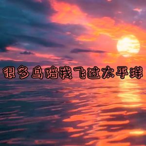 很多鸟陪我飞过太平洋