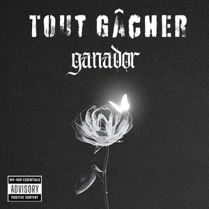 Tout Gâcher