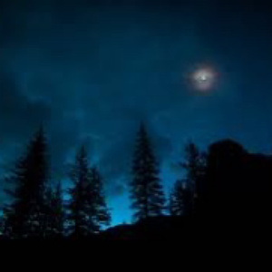 Lost In The forest (Versión instrumental)