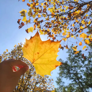 DJ小辉-爱我就别伤害我 FK（DJ小辉 remix）