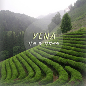 안개 낀 언덕에서(霧の丘で)