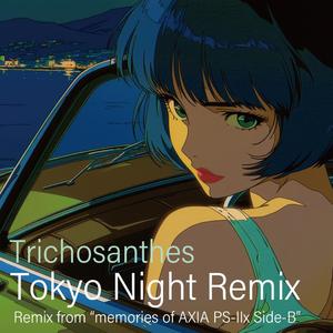 ドライブイン・シアター (Tokyo Night mix)