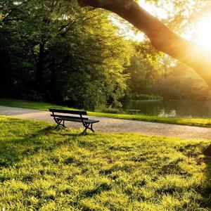 Leaf & Breeze-Prod By XM(Simon X)