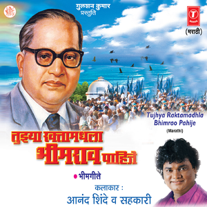 Bhimrayamukte Aamha Buddh Milale