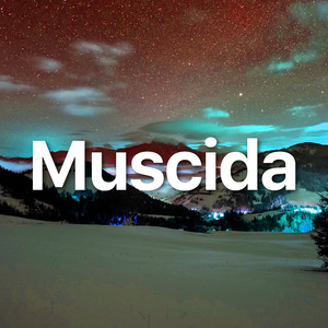 Muscida (with Marimba)