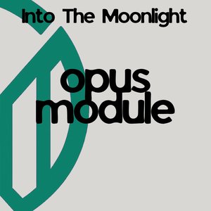 Into the Moonlight