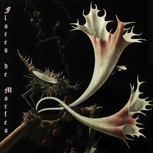 Set Eléctrico: La Mansión de Luigi / Dientes de Sierra (feat. Santo Estruendo)