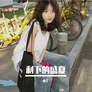 剩下的盛夏
