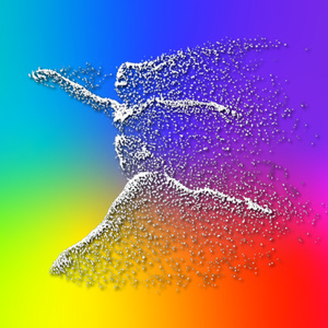 PsyBird Grooves