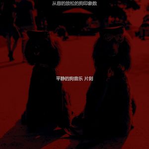 安静的小狗声音