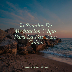 Canción de los Centinelas Adormecidos