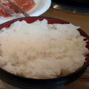 "Venom Bliss"「毒液快楽 (Venom Bliss)」