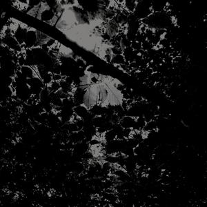 Obsolescence