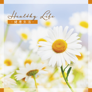 安らぎの光の中で