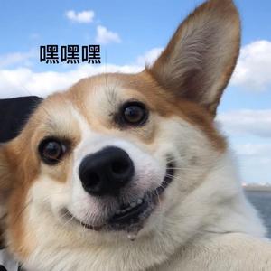 再回眸 DJ弹鼓版