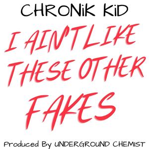 I Ain't Like These Other FAKES