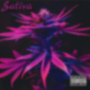 Sativa