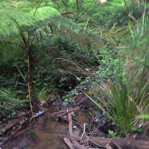 Farewell (feat. Oilcolor)