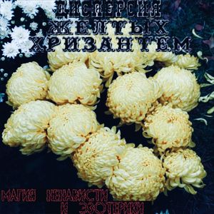 Электрический Ток