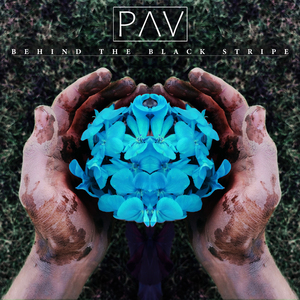 За чёрной полосой